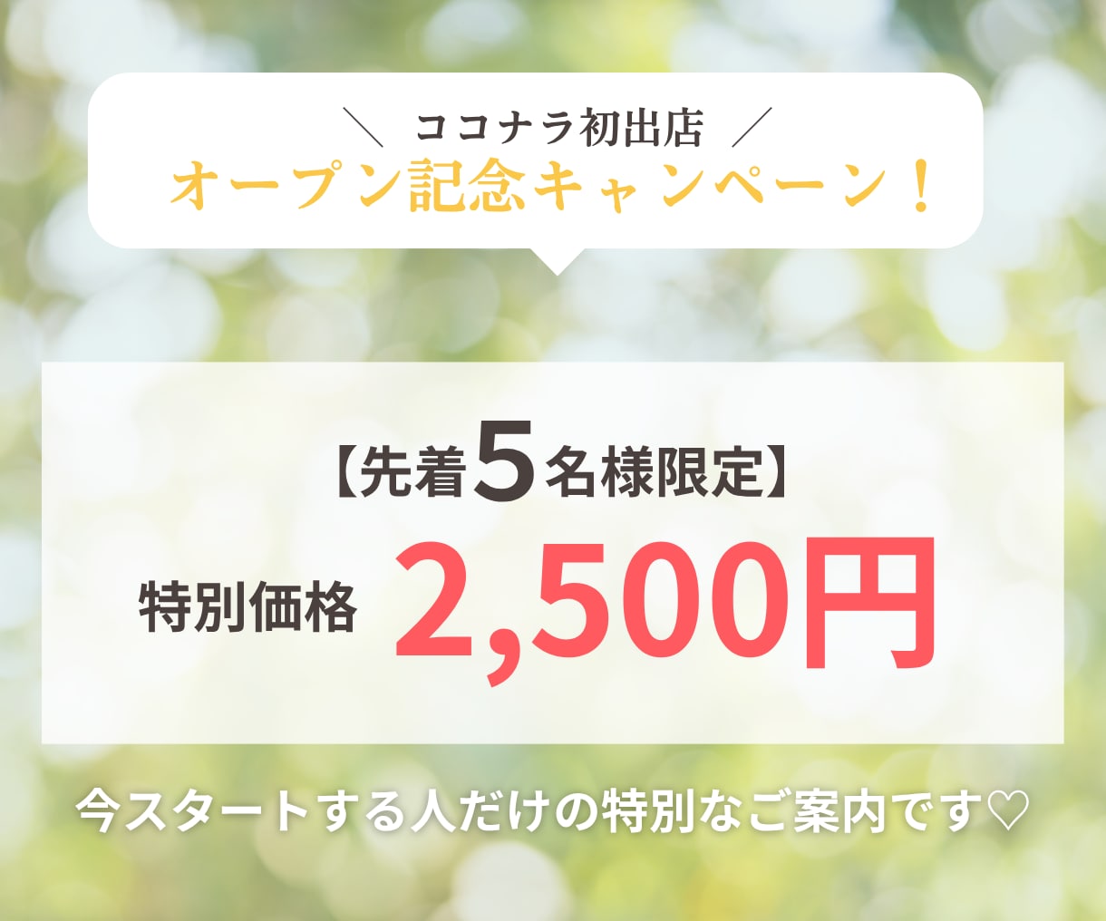 売上が上がる！ゲーム感覚コーチングをします 【先着5名限定】売り上げを上げたい！不安！忙しい女性起業家へ イメージ9