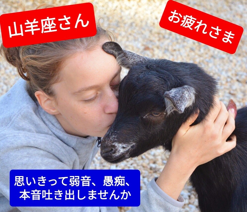 山羊座さん救済！プライド高いあなたの愚痴、聞きます 辛い！思いきって弱音を吐いてみよう。山羊座同士共感できます。 イメージ1