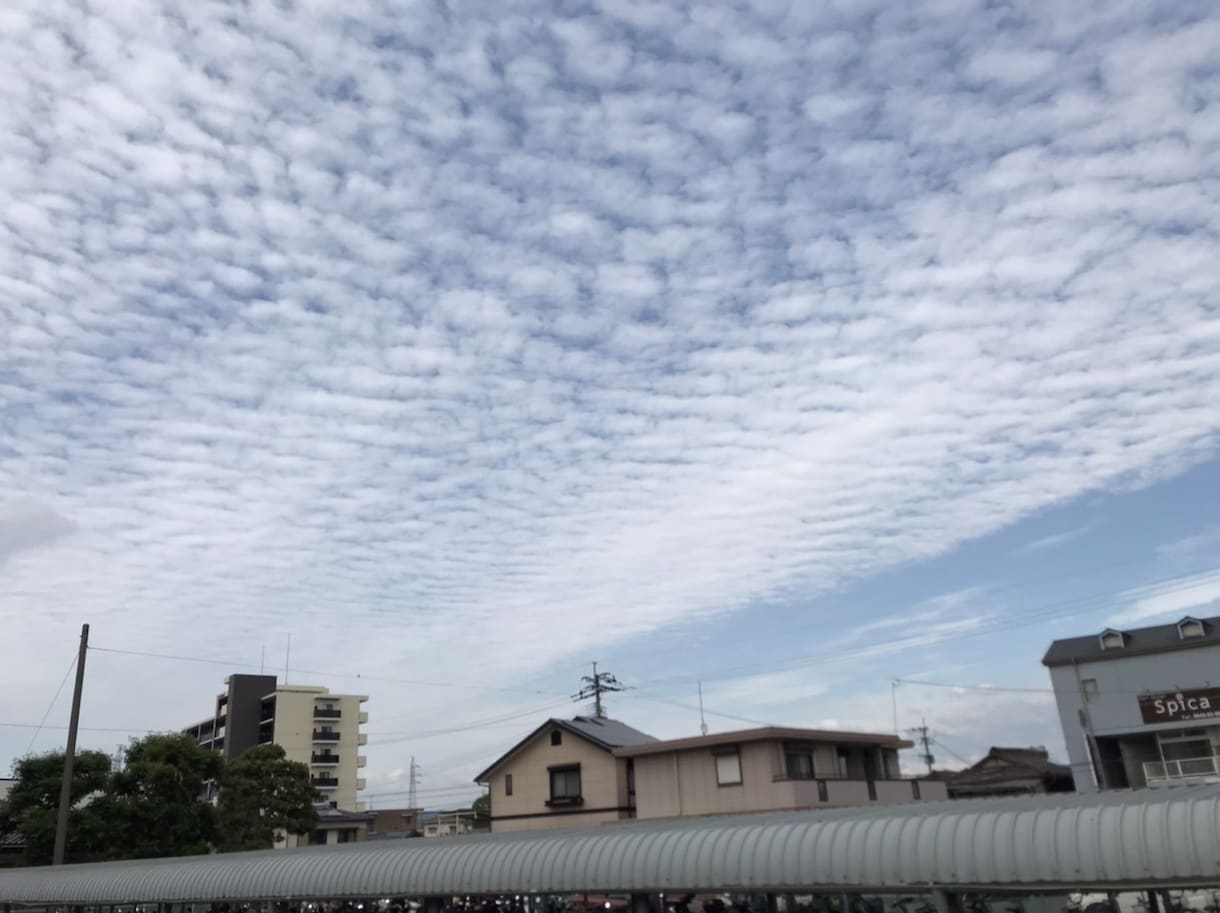 元気な体は食事から。食養アドバイス致します 東洋医学の教えを取り入れ、健康増進のためのアドバイスします イメージ9