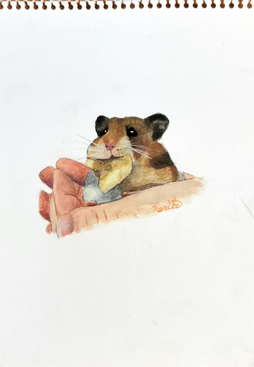 大切な家族の思い出を形にするお手伝いをします 元動物看護師が心に寄り添ったペットイラストを描きます イメージ2