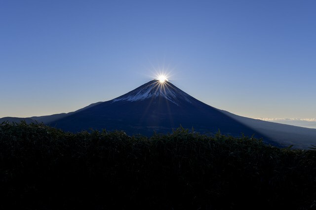 なぜか勝手に癒されて、また頑張れるコーチングします いつの間にか癒されるコーチング イメージ10
