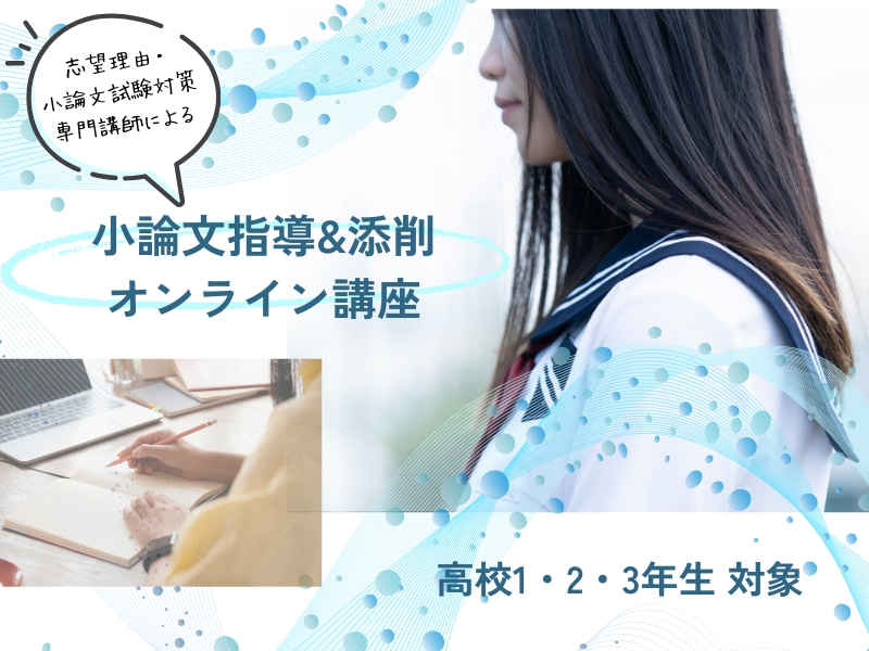 添削指導付き！小論文の書き方指導＆添削します 小論文書き方ノウハウを指導＆目指す進路に合わせた課題を添削！ イメージ1