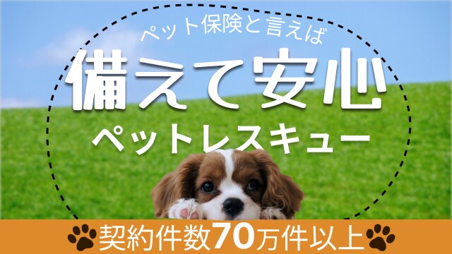 修正無制限！WEB画像、作成いたします 低単価│実績非公開OK│最短即日対応！ イメージ4