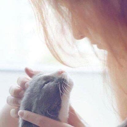 大切なペットちゃんと飼い主さんを癒します ☆３０分のリラックスヒーリング イメージ5
