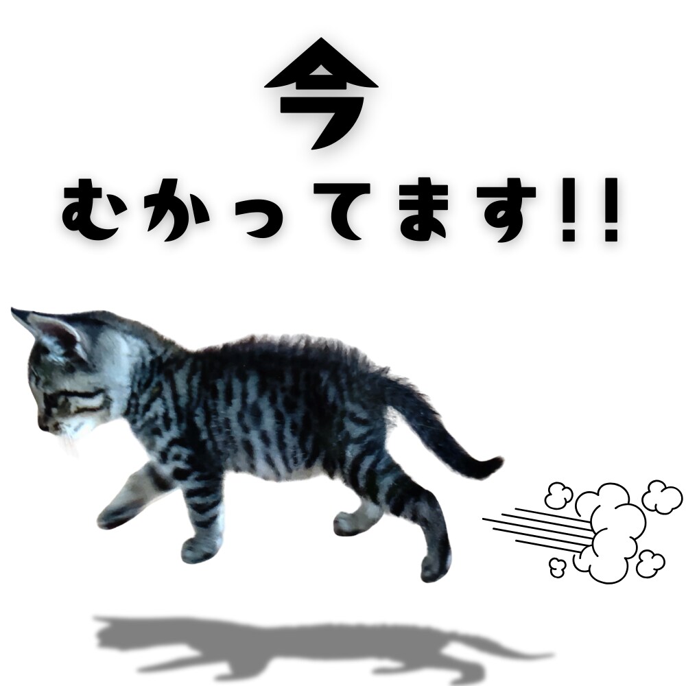 ペット写真からLINEスタンプ16個セット作ります ☆大切なペットをオリジナルLINEスタンプに イメージ5