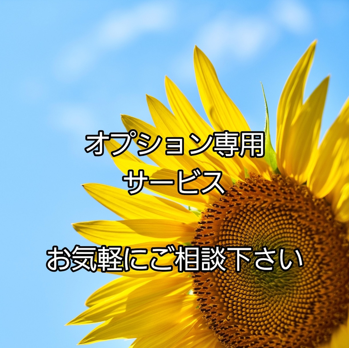 専用です！　内容についてお話し合い後鑑定致します それぞれご自分に合ったプランのご提案をさせていただきます イメージ1
