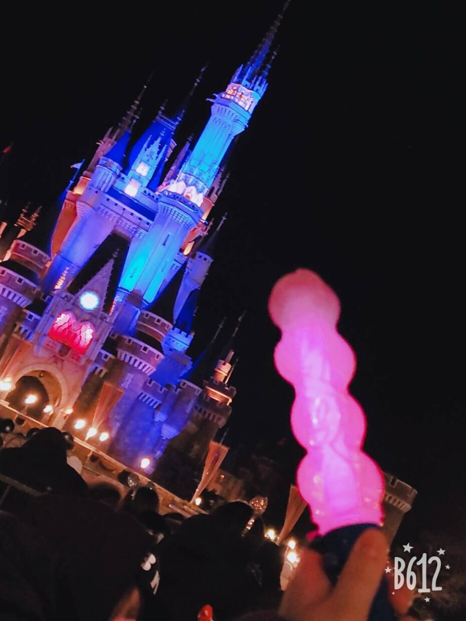 ディズニーリゾートのとこならなんでも対応します イクスピアリなどの、パーク外の敷地のことでもOK！ イメージ1