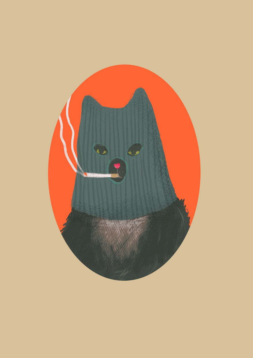 ポップなイラストをかきます ちょっとヘンテコでカラフルなイラストを描くのが好きです。 イメージ4