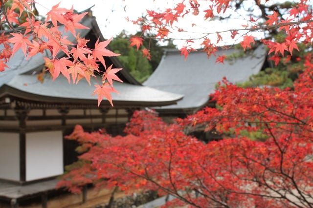 あなたの京都旅行をちょっと通なものにします 定番観光地に飽きてしまったあなたへ イメージ3