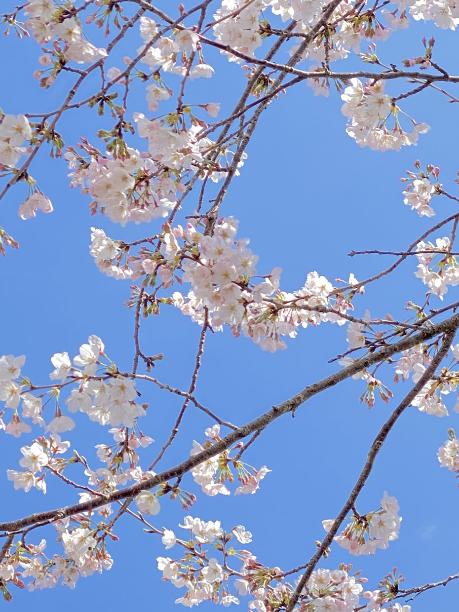 ちょっと聞いてー！のお言葉に寄り添います あなたのココロに寄り添い、思いを受け止めさせていただきます！ イメージ8