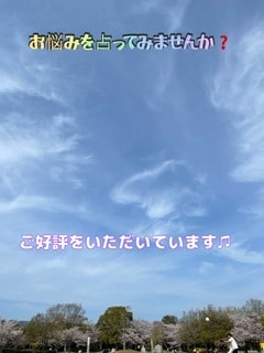 悩み事などを占います オラクルカードを使い、ご相談内容を鑑定していきます! イメージ1