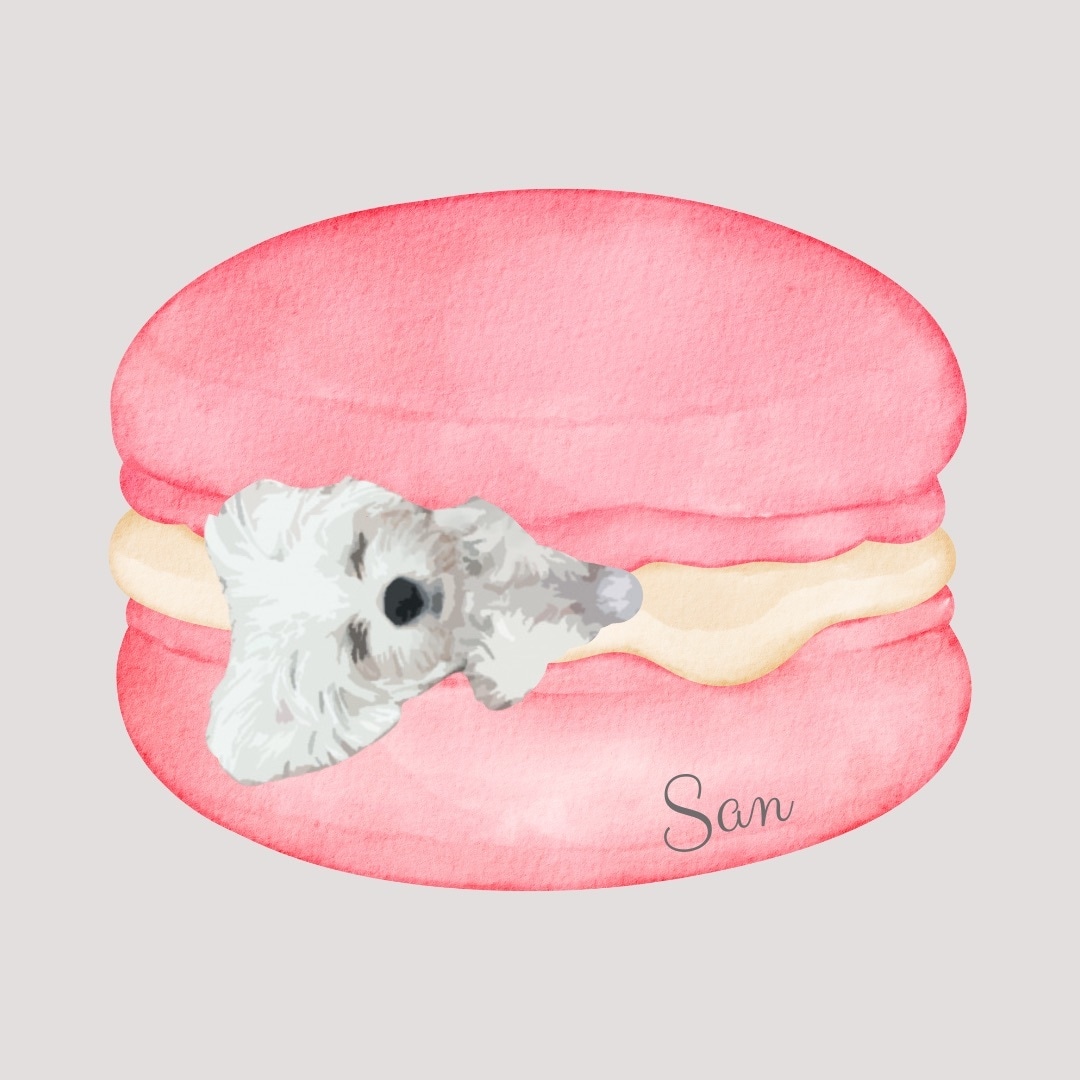 わが子のとっておきの写真をイラスト風に編集します わが子(ワンコ)のとってもおきの瞬間をイラスト風に加工します イメージ5