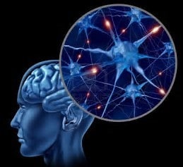 負けたら止まらない脳科学を教えます FXやバイナリーなど、連続で負ける人向け イメージ1