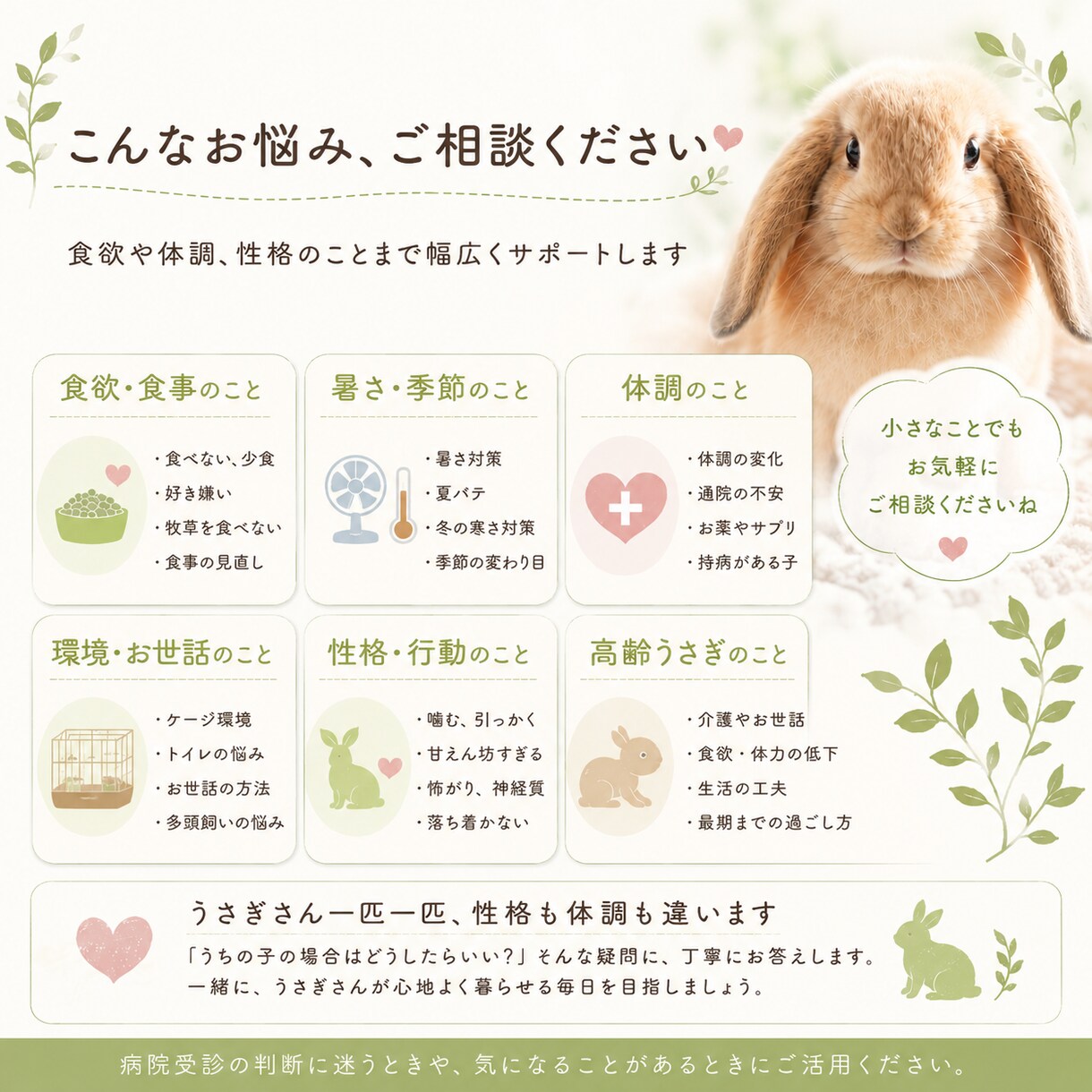 食欲・ケア・性格等、うさぎ飼育のお悩み相談受けます 初心者さんから、長年一緒に暮らす方まで、丁寧に相談受けます イメージ2