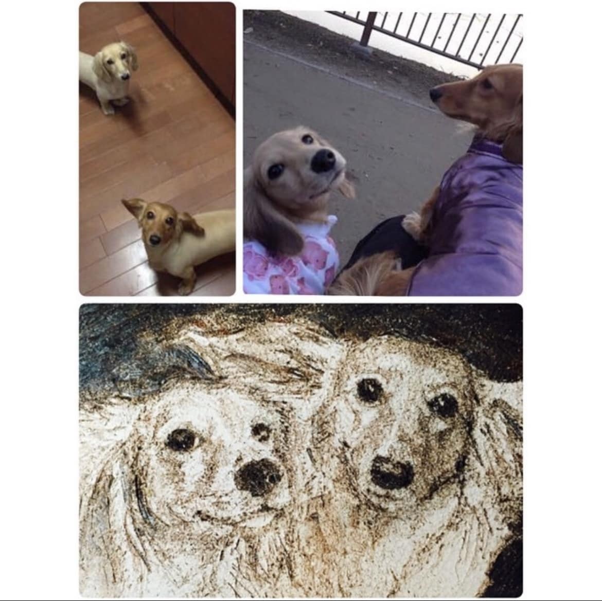 革に電熱ペンで犬の似顔絵(リアル画)描きます 牛革に電熱ペンで焼きつけながらセピアの陰影で絵を描きます。 イメージ5