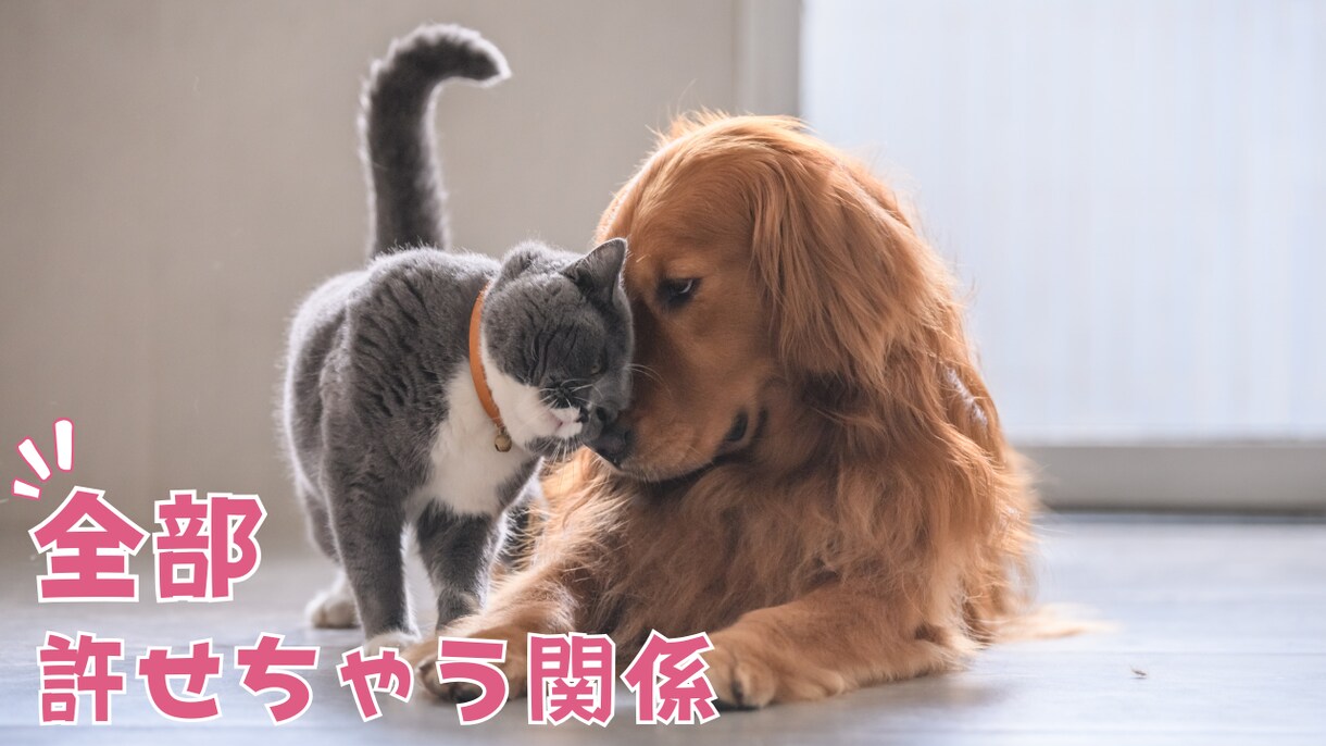 YouTubeの猫サムネイルを格安で作成ます 格安・クリック率UP・素早い！猫専門サムネイルデザイン イメージ7