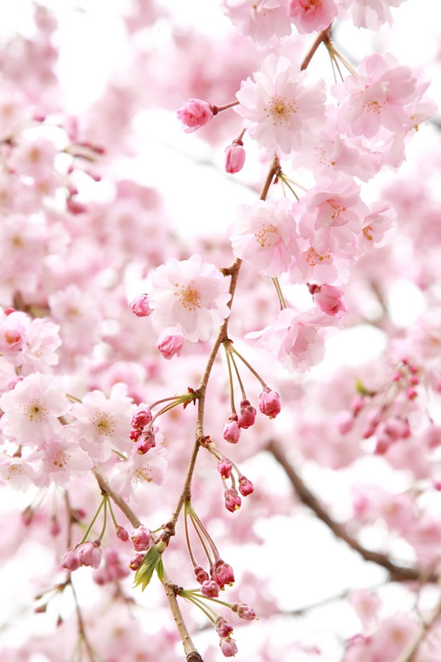 あなたのための東京観光プラン立てます アラサー女があなたへ東京観光プランを立てます！ イメージ1