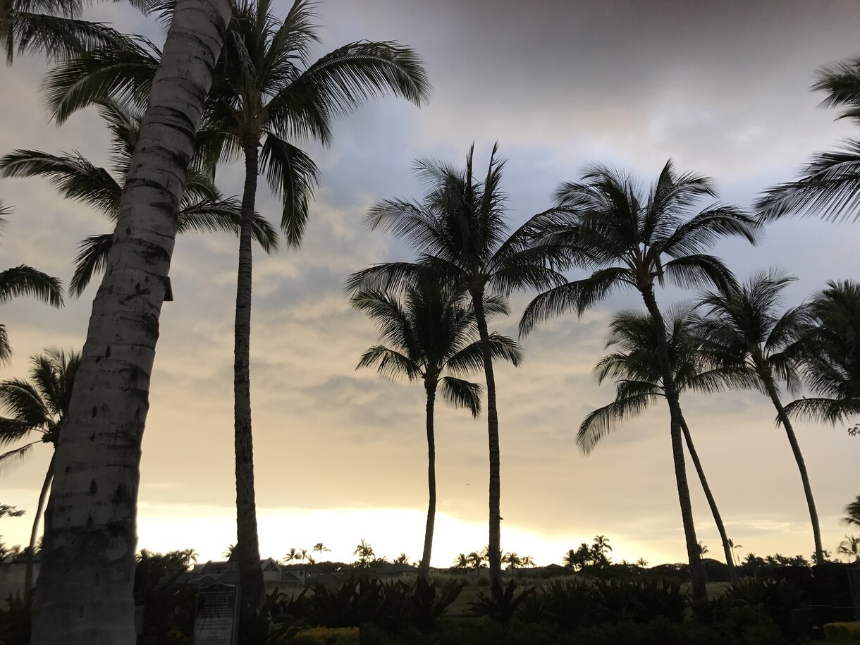 ハワイウエディング＆旅行相談受付けます 元ハワイウエディングプランナーが自信を持ってお答えします！ イメージ2