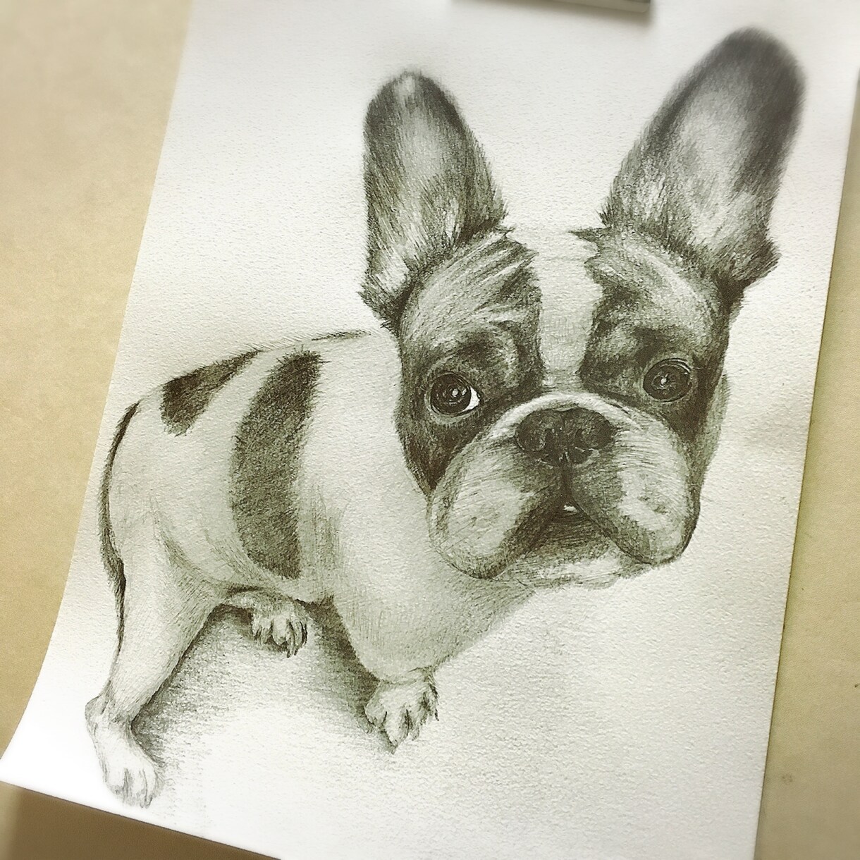 ペットのリアルデッサン描きます プレゼント用 またはインテリア用としてもオススメ！ イメージ4
