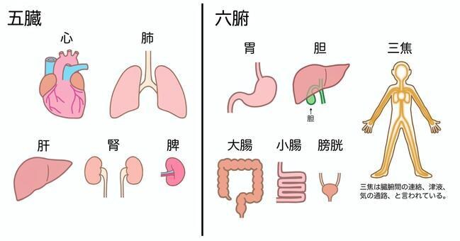 発達障害の方の写真による遠隔施術・指導を行います 【自閉症など発達障害、発達遅滞、不登校など引きこもりの方】 イメージ5