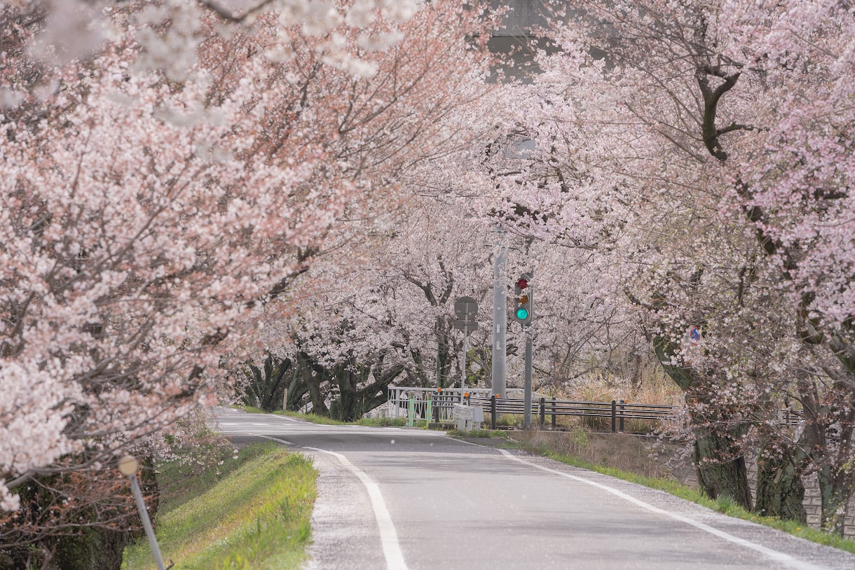 バラ売り可！あなたがお探しの写真、提供します 再現像も承ります！シーンに応じて様々な写真をお届けします。 イメージ3
