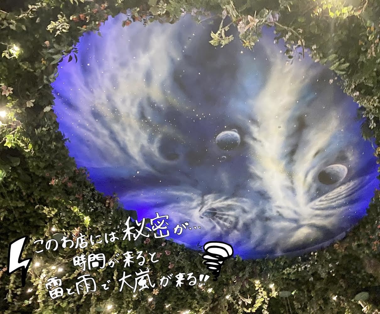 デートプラン一緒に考えます デートプラン一緒に考えます！いい雰囲気の飲食店、スポット等 イメージ2