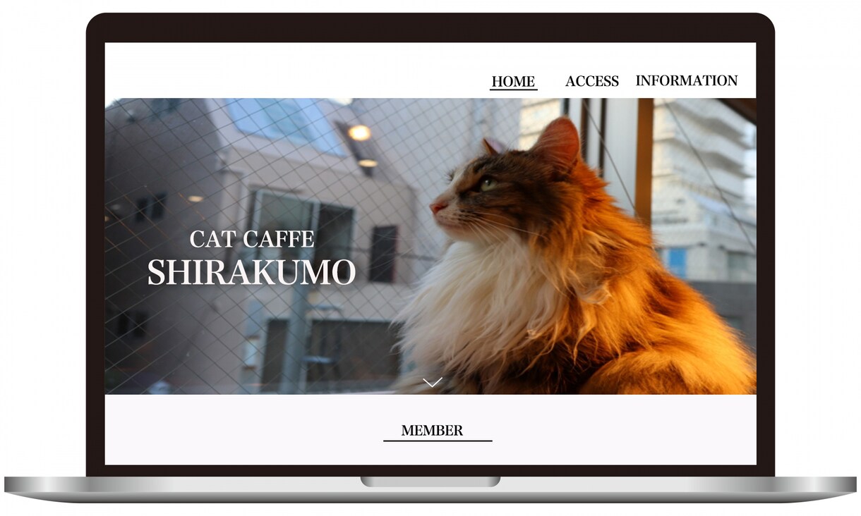 自分で簡単に更新できる！ホームページを制作します 修正回数無制限・丸投げもOK! イメージ4