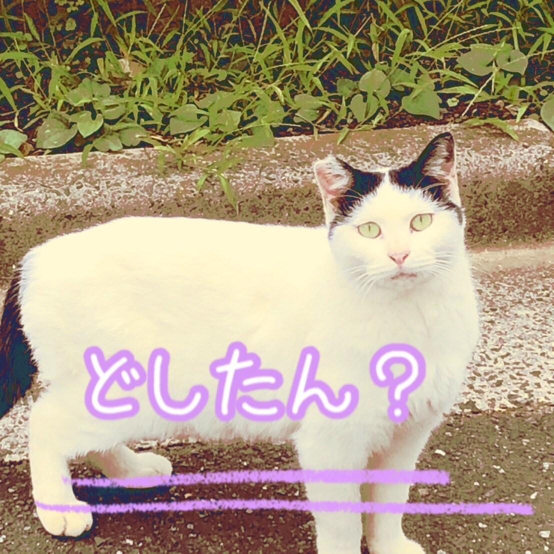 お姉ちゃんとして話を聞きます 60分間あなたの話を聞かせて下さい。 イメージ1