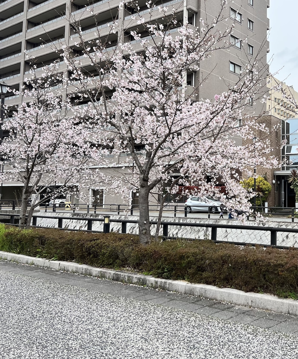 女性限定‼︎子育て日常のモヤモヤ愚痴を聞きます 電話が苦手な方も安心。LINE感覚で気軽に吐き出してください イメージ1