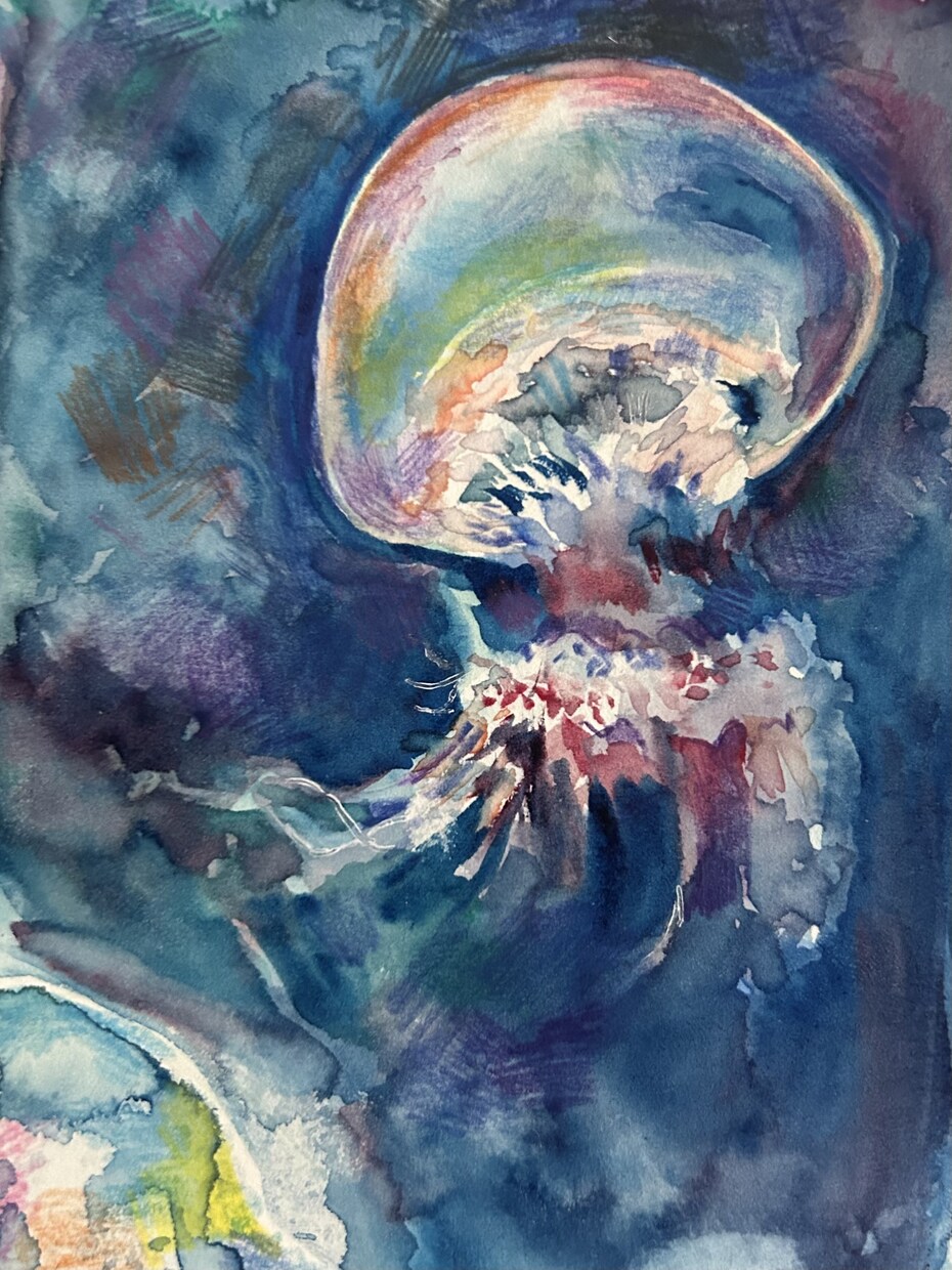 海の生き物を描きます 生きているかのようなイラストをお届けします！ イメージ4