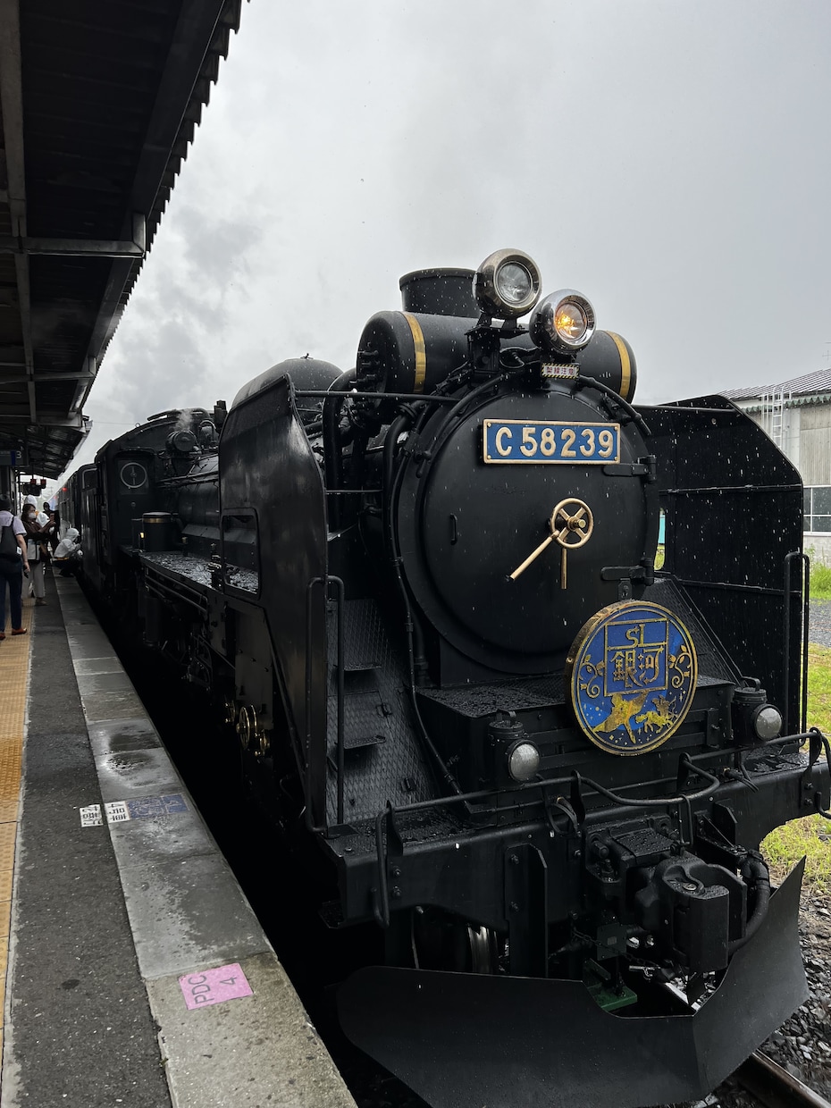 JR完乗者が、乗り鉄ゆかりのスポットを紹介します 駅スタンプや記念碑、廃線跡、鉄道資料館、観光地など イメージ2