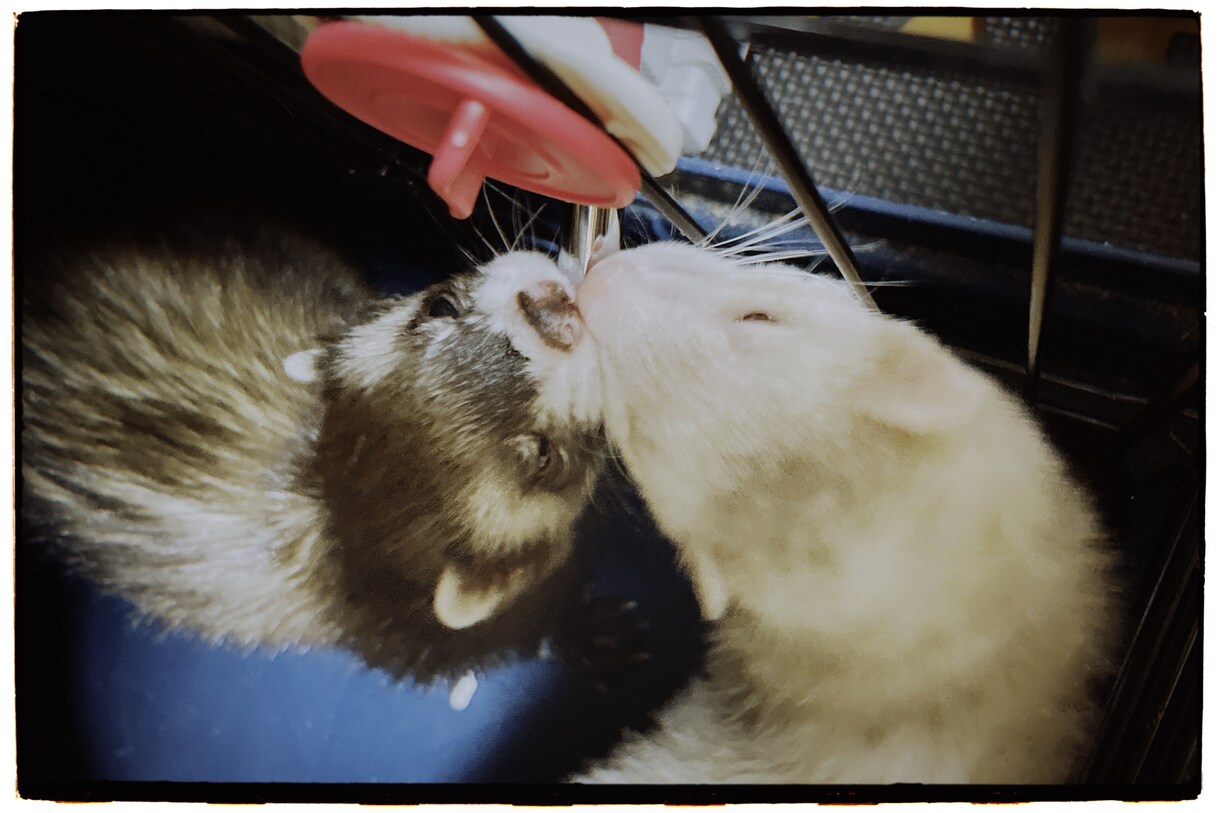 どのような方でも使っていただける写真を提供します どなたでも使える写真を撮ります。 イメージ2