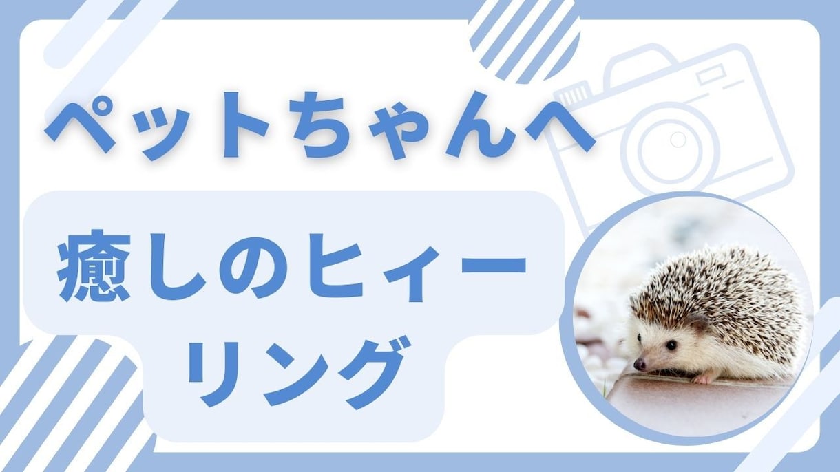 ペットへの遠隔ヒーリングをします 貴女の大切なペットヒーリングのサービスです♪ イメージ6