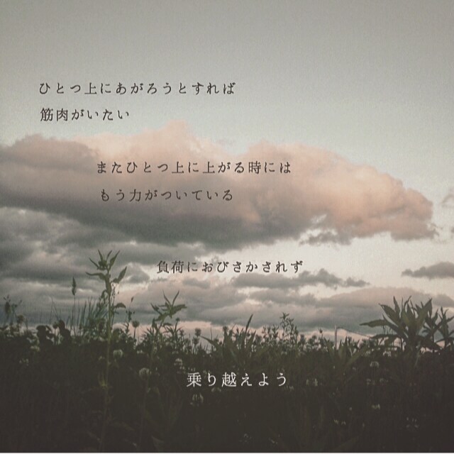 写真にオリジナルの言葉や詩をお付けします インスピレーションで言葉をおつけしてオシャレに♡ イメージ3