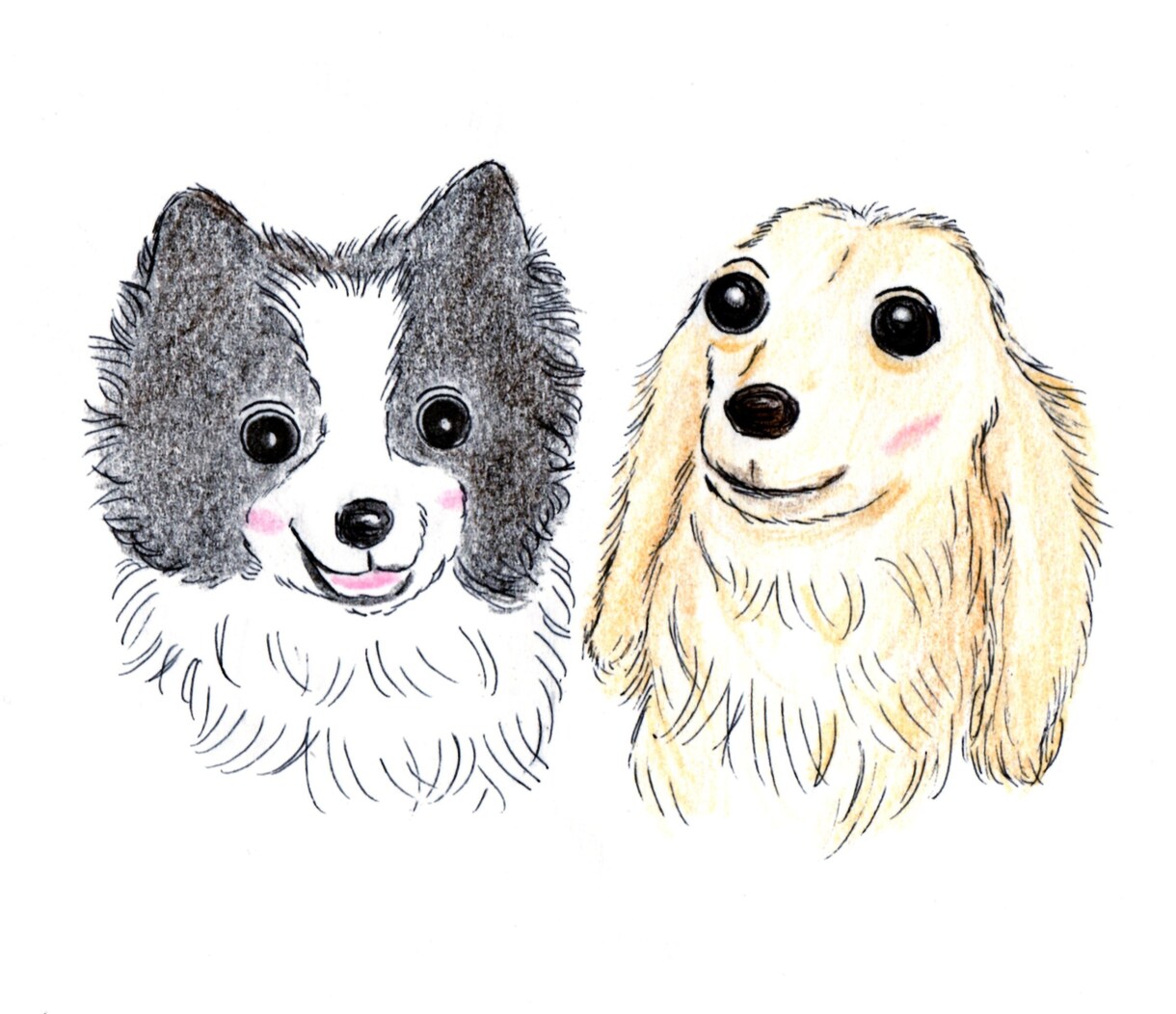 ペットの絵を描きます わんちゃんねこちゃんなどご家族の一員を可愛い絵にします イメージ7
