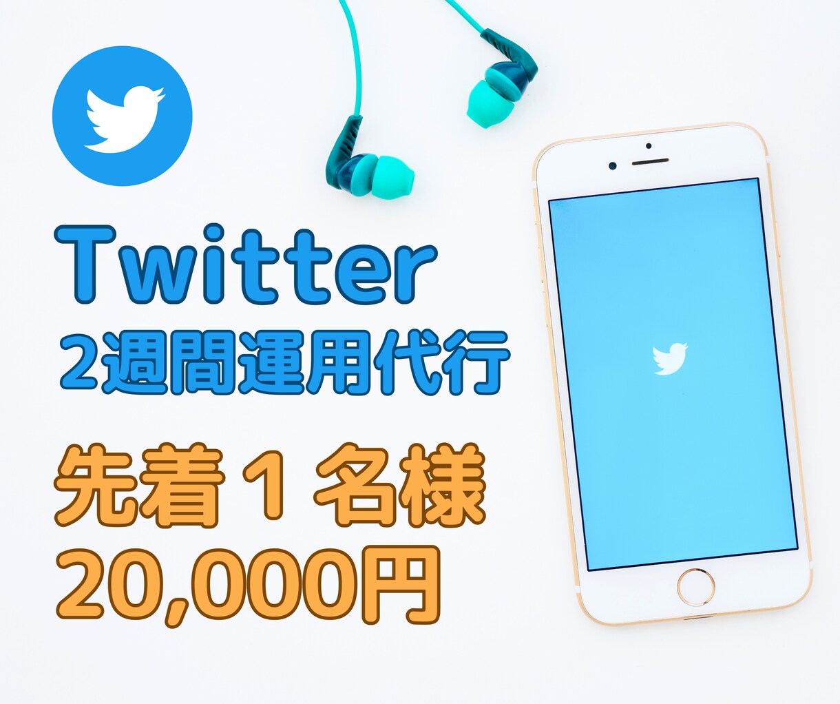 Twitterを２週間運用代行します 現役SNSマーケターがあなたのニーズにあわせた運用を提案 イメージ1