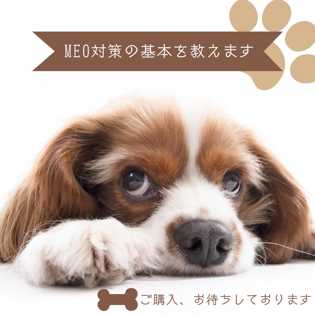 MEO対策の基本を教えます 実は失敗しがちなポイントを丁寧に解説します イメージ1