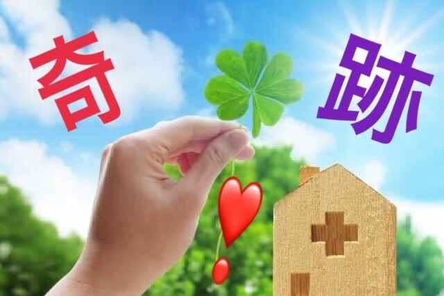 あなたも奇跡を起こせます 私は、止まっている人に、一歩踏み出すお手伝いが出来ます。 イメージ2
