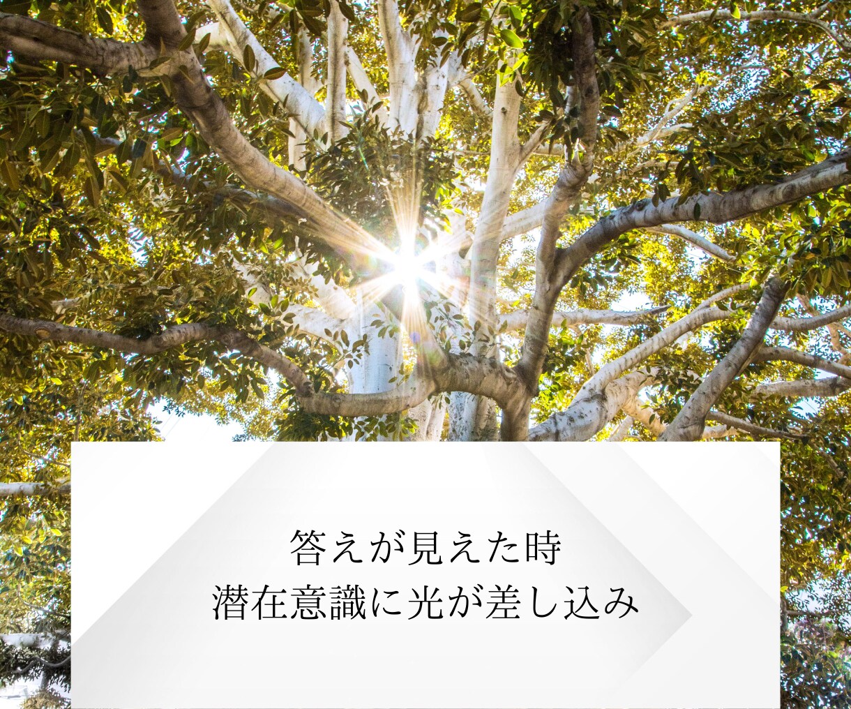 望む未来への鍵を潜在意識から導きます 全ての答えは貴方の中にある！潜在意識見える化コーチング イメージ3