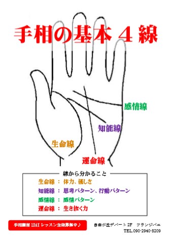 仕事のお悩み解決、あなたの手相からアドバイスします ビジネス現場での手相活用経験（19年）に基づく解決アドバイス イメージ4