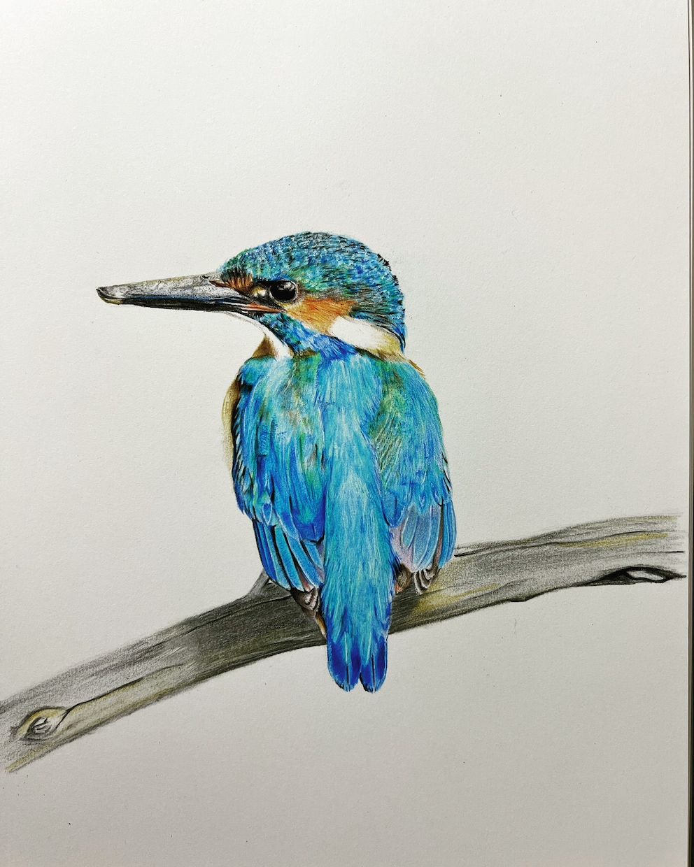 写真からペットイラストを色鉛筆で手描きします 写真とは違う温もりを優しいタッチで、心を込めて制作します イメージ2