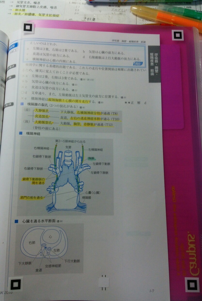 医師になるための。。医学科の本当の中身。。皆さんが知らない真実。。勉強時間、方法。色々あるんです。 イメージ1