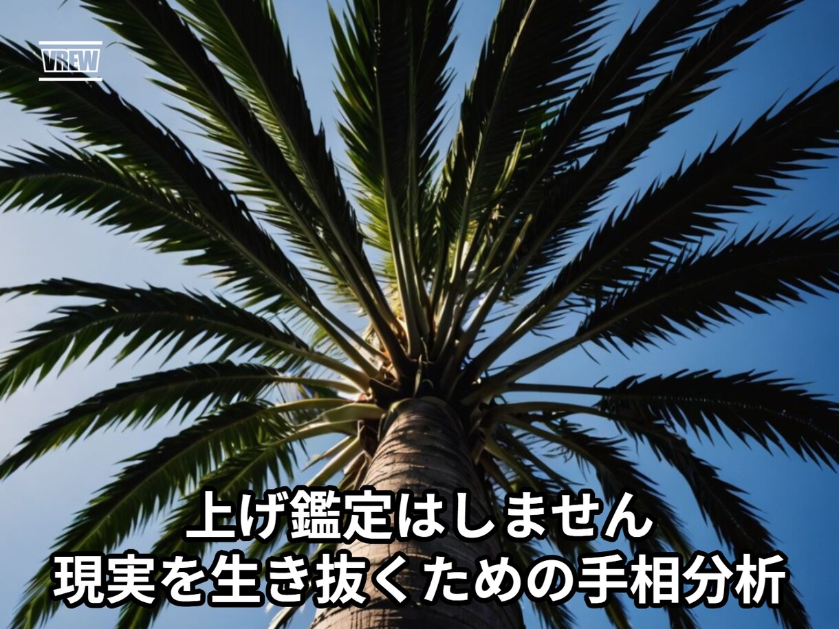 本気で運命を読み解く“現実派”手相鑑定します 人生の再構築を支える占いとスピリチュアルメッセージ イメージ3