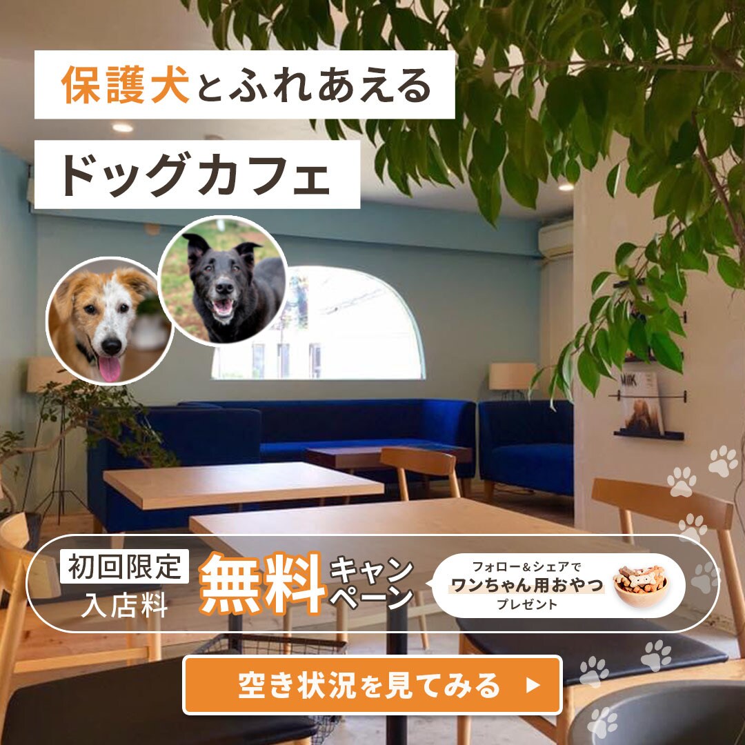 共感を“設計”して反応につなげる広告バナー作ります 誰に向けた広告か曖昧な状態を整理し、伝わる形にします イメージ8