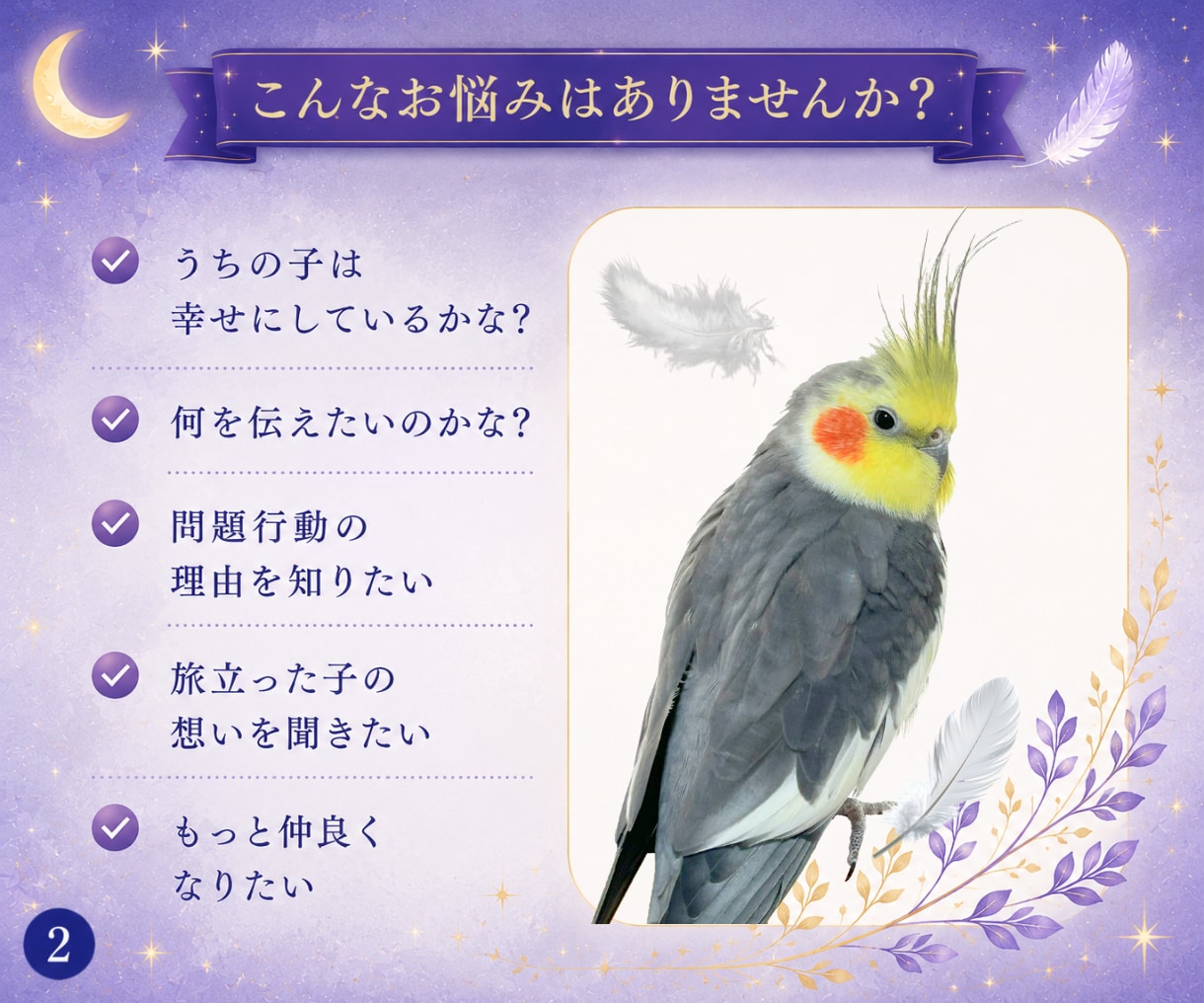 鳥さんの気持ちを丁寧にお伝えします 言葉にならない想いを静かに届けます。 イメージ2
