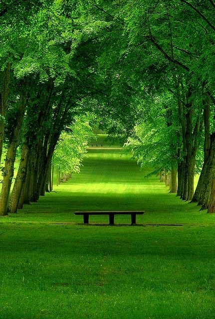 あなたの写真を見て魂の色が何色かをお伝えします 色のみのお伝え☆生まれながらの魂の色を身に着けて運気アップ イメージ9