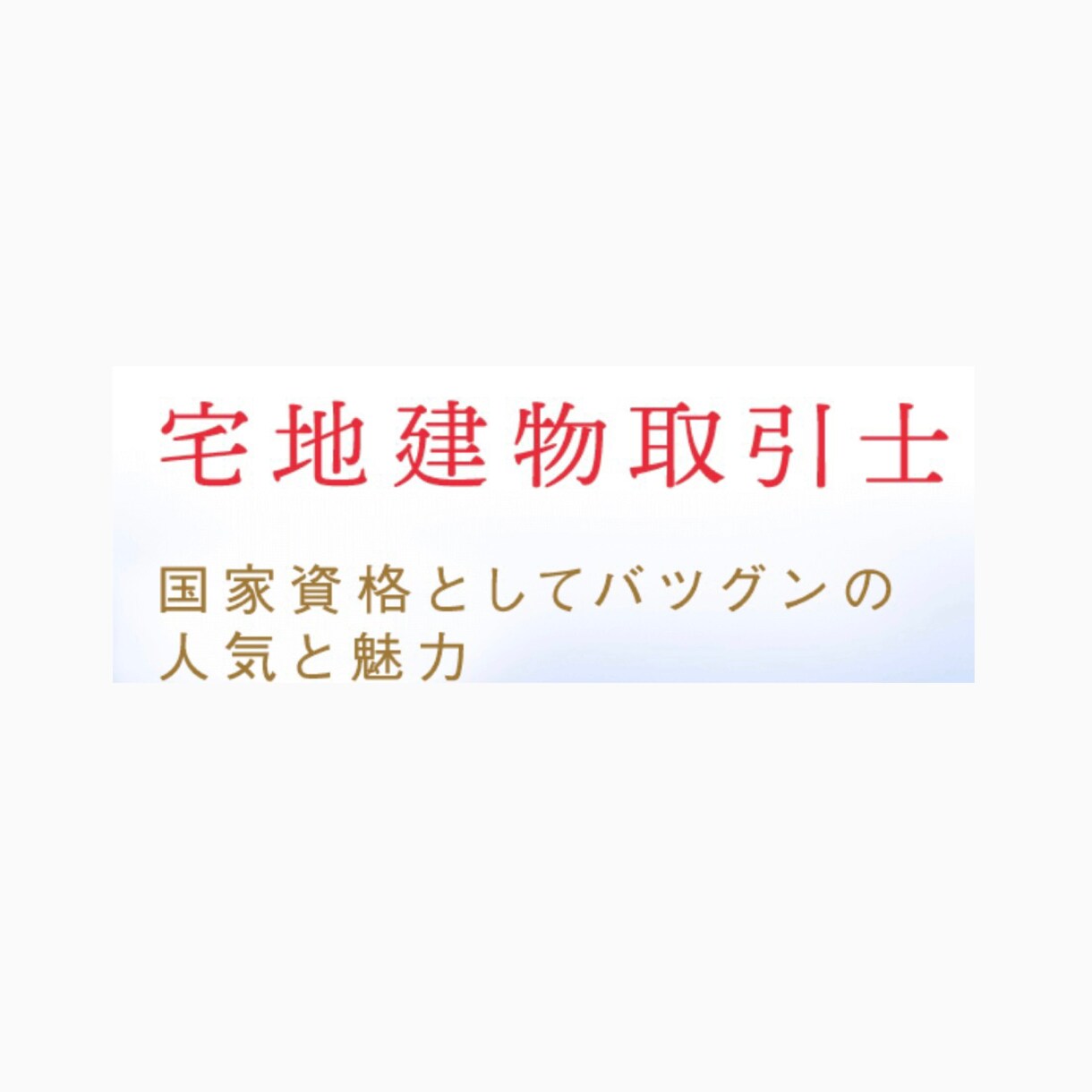 宅地建物取引士の資格取得のサポートをします 宅地建物取引士取得者が資格試験における学習計画を作成します。 イメージ1