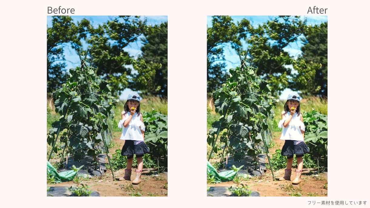 自然で優しい写真補正｜明るさ・色味を丁寧に整えます 家族写真・子ども写真の自然な補正が得意です。 イメージ3