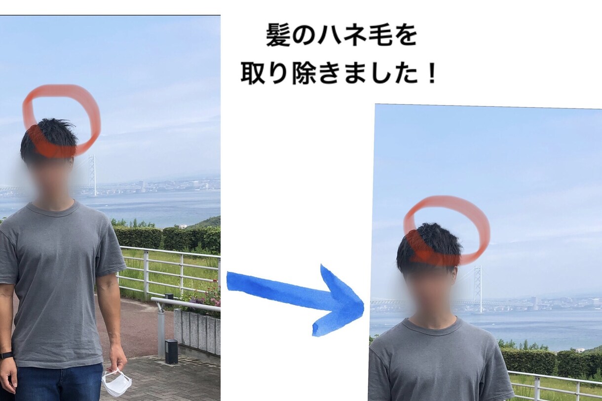 大切な写真を修正(一部手直しなど)します 素敵な写真をより素敵に！写真加工ならなんでもお任せください！ イメージ3