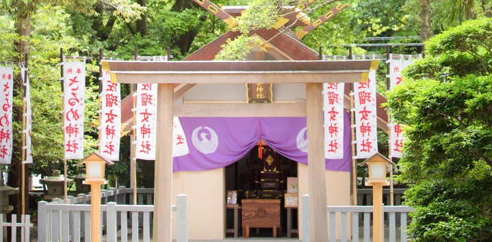 あなたの悩み教えて！寄り添い一緒に解決します 初心者歓迎！悩みを整理し解決に向けた施術とアドバイスをします イメージ4